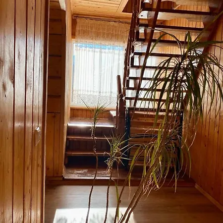 золота рибка *